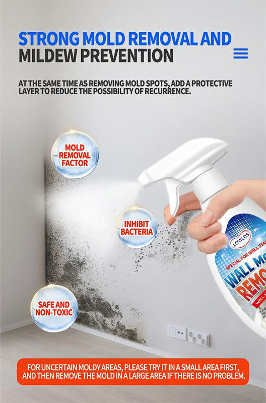 Highly Effective Mould Removal Spray - Prevents Mould Regrowth